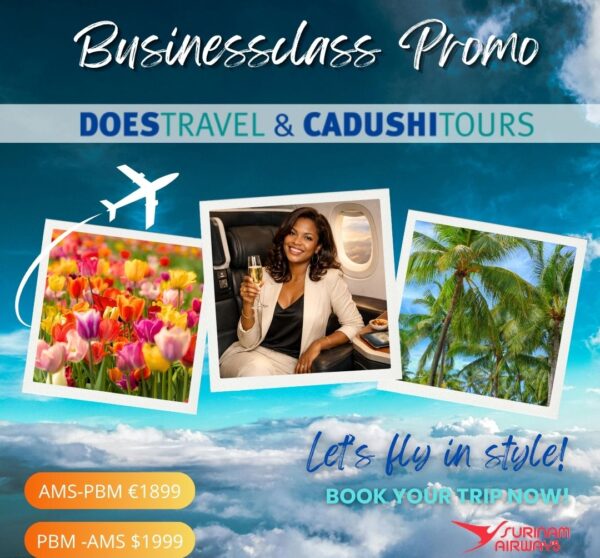 Businessclass Promo SLM